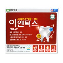 부광약품 이엔탁스, 1,450mg x 60정 x 2 BOX, 1개