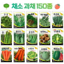 쌈 채소 씨앗 모음 고수 공심채 루꼴라 궁채나물 수박 참외 호박 토마토 상추씨 동남아 종자, 117. 애플수박 5립