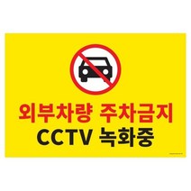 킹호연지기아트사인 주차금지 CCTV녹화중 1188 580x400 포멕스, 상세페이지 참조, 상세페이지 참조