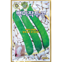 백미작두콩 비염차 텃밭 주말농장 흰 건 작두콩 씨앗 종자