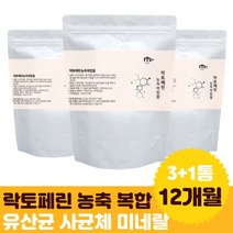 락토페린 순도 프랑스 모로 오렌지 농축 분말 함유 람노서스 종합유산균 말티톨 여성 남성 50대 가족 프로틴 답례품 60대 청소년 부부 입학 신랑 초유 파우더