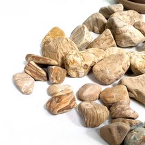 목문석 1kg 3kg 5kg 소포장 마이플랜트, 9호(40~50mm)