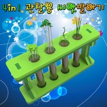 뉴 4in1 씨앗 발아기 만들기