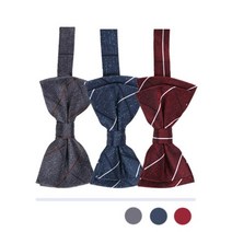 멋있는 남자 슬림 편리한 보타이 고급 일반 사무실