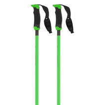 아토믹 스키폴대 Atomic 폴란드 Redster X Carbon SQS, 125cm 그린/카본