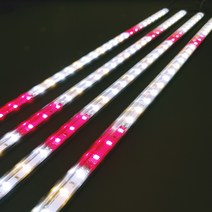 삼성 식물등 식물LED 식물조명 생장 성장 2023년 신제품, 확산형 LED바 2개+어댑터 1개