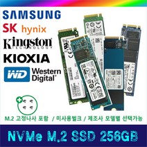 NVMe M.2 SSD 256GB, SSSTC 80