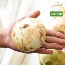 삼촌밥먹자 [무안직송] 황토 무안 햇 양파 (중)2kg3kg5kg10kg, 5kg