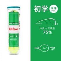 윌슨 테니스공 엑스트라 US오픈 연습공 Wilson 테니스볼 볼 투어 연습구, 01