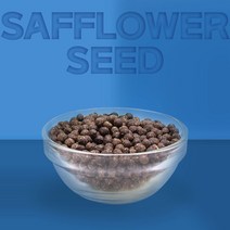 열린약초 국내산 홍화씨환 홍화 홍화씨, 300g, 1개, 1개