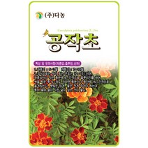 벌노랑이 3g - 야생화 씨앗 꽃씨 씨 꽃씨앗 벌노랑이씨앗 벌노랑이씨 다년생 여러해살이 야생화씨 야생화씨앗 꽃 노랑돌콩, 01_다농_공작초(100립)