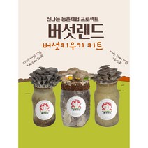 버섯랜드 2개 1세트 버섯기르기 1+1 고기느타리 느타리 표고 버섯키우기 키트 버섯배지 유치원 교육용 취미생활, 느타리+표고