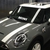 미니쿠퍼 자동차 MINI 포인트 차량용 스티커, MINI-M, 실버, 1개