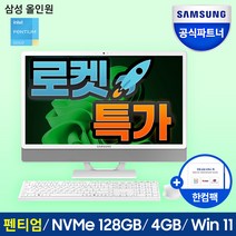 삼성 일체형PC 올인원PC DM530ADA-L25AH (인텔 펜티엄 11세대 7505 60.5cm WIN11 4GB 128GB SSD), DM530ADA-L25A, WIN 11