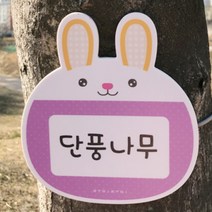 귀여운 포맥스 나무이름표 수목표찰 라벨 명패, 고양이(민트)