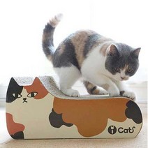 아이캣 까칠한 냥이 스크래처 4123, 혼합 색상, 2개