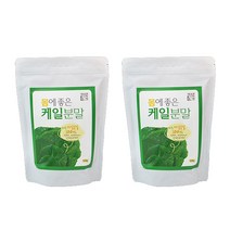 제주산 케일분말 GMP 제주마씸 국산 500g 2팩, 단품, 단품