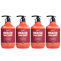 위스티 이미지 극손상 헤어트리트먼트 샤이블라썸 500ml, 4개