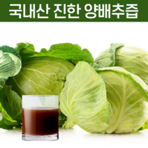 생양배추즙 임산부양배추즙 위에 좋은 즙 싱그런 진짜 순수식품 양배추즙 저온착즙 착한 양배추즙 과채주스 생 양배추 생즙 주스 쥬스 착즙 농축액 양배추물, 50포 1박스