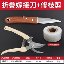 접목칼 과수 전정 정원 커터 전문 모종 도구 가지치기, 14. 접붙이는 칼 + 전지가위 + [3cm 접목필름