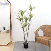 고급 인조나무 조화화분 드라세나 마지나타 160cm, 단품