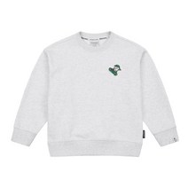 디스커버리 디스커버리키즈긴팔티 JQS DKMT13021-MGL 키즈 패밀리 백그래픽 맨투맨 Big 디커맨