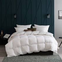 [소프라움] 사르르 헝가리90 80수 구스다운 사계절 이불솜 싱글 (576g), 화이트/싱글(MDS22FS04D11WHS)