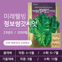 미래웰빙 청보쌈갓(겨자채)씨앗- 23년산/2000립