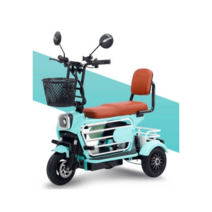 세발전기자전거 가성비 자토바이 삼륜 전동 성인용, 상세 페이지 참고, 10A 배터리40km빨간색48V