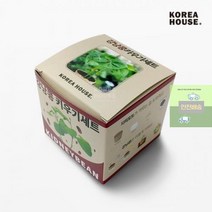 강낭콩_키우기세트 E271, 상세페이지 참조
