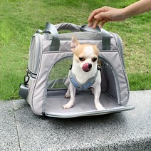후즈펫 반려동물 이동가방, 그레이