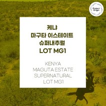 (커피생두) 32 케냐 마구타 이스테이트 슈퍼내추럴 500g