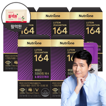 뉴트리원 루테인지아잔틴164 두뇌 & 눈 건강 은행잎추출물 뇌 건강 기억력 인지력 개선 활력환 기획세트, 30정, 5개