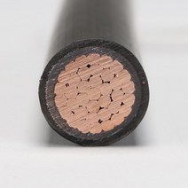 천지몰 삼사전선 TFR-CV 10SQ x 1C 1M, 1개