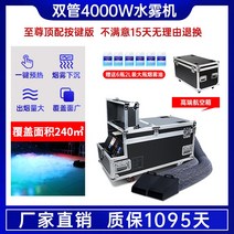 드라이아이스 머신 기계 스모그 포그 결혼식장 무대 머신, F. 4000W 더블관