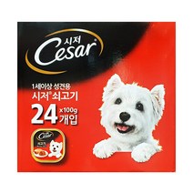 [찜꽁해] 코스트코 시저 애견사료 / 소고기 100g x 24개입