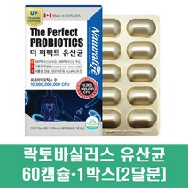 포스트바이오틱스 락토바실러스 복합물 유산균 프로바이오틱스 비피더스균 소화효소 프락토올리고당 fos 캡슐 100억마리 17종, 1박스