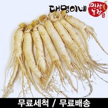 인삼수삼 오쿠1회분 원삼믹서 세척 8뿌리내외 250g 대명이네인삼, 1개