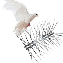 비둘기퇴치망 버드 스파이크 야생 동물 퇴치기5xBird 비둘기 금속 벽 울타리 네일 억제 방지 주민 제어 제, 01 as show