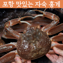 [자숙홍게] 감동농수산물 후포홍게 홍개 강원도 포항연지 홍게 주문진홍게 자숙홍게 후포항 연지 홍게 파지 활홍게 포항 홍게 영덕홍게 라면 육수용 홍게 당일배송 택배, 자숙 육수용 홍게 (소/중) 10마리