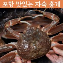 [자숙홍게] 감동농수산물 후포홍게 홍개 강원도 포항연지 홍게 주문진홍게 자숙홍게 후포항 연지 홍게 파지 활홍게 포항 홍게 영덕홍게 라면 육수용 홍게 당일배송 택배, 자숙 고급형 혼합홍게 (소/중)10마리