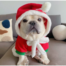 반려동물 패딩 조끼 강아지 겨울옷 뽀글이 후리스 깔깔이 후드 점퍼 하네스 스웨터 새해 크리스마스 프렌치 불독 스웨터 코트 자켓 작은 중형 를위한 애완견 옷 pug klc31, XXL, 초록