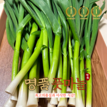 국산 명품 [당일수확손질] 산지직송 해풍 노지 풋마늘 잎마늘 마늘잎 깐풋마늘 마늘대 1kg 2kg, 1개