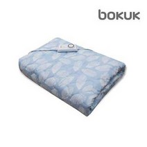 보국 스카이리프 에어셀 전기요 더블 BKB-0606D