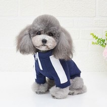 쁘띠 트레이닝 강아지 평상복, 레드_S