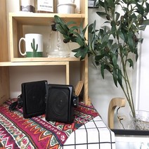 STUDIO ACOUSTICS 매장용방수스피커 60W SA-300, 블랙