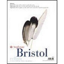 Strathmore 500 시리즈 브리스톨 벨럼 4 ply 58.42cm. x 73.7cm. 시트 5800587563