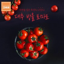 고씨네 특급 방울토마토2kg 토마토 국산방울토마토 과일종류 명절과일선물 국산과일 과일 제철과일, 상세페이지 참조, 단품