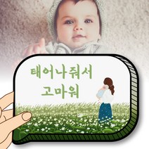 50일 100일 200일 아기 셀프 사진 촬영 소품 잊지마 성장카드
