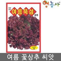 여름뚝섬 적축면 상추씨앗 3g 여름용 적상추씨앗